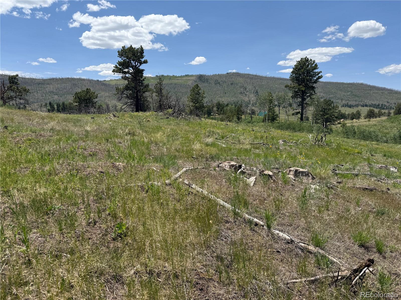Lot 1103 Emery Loop