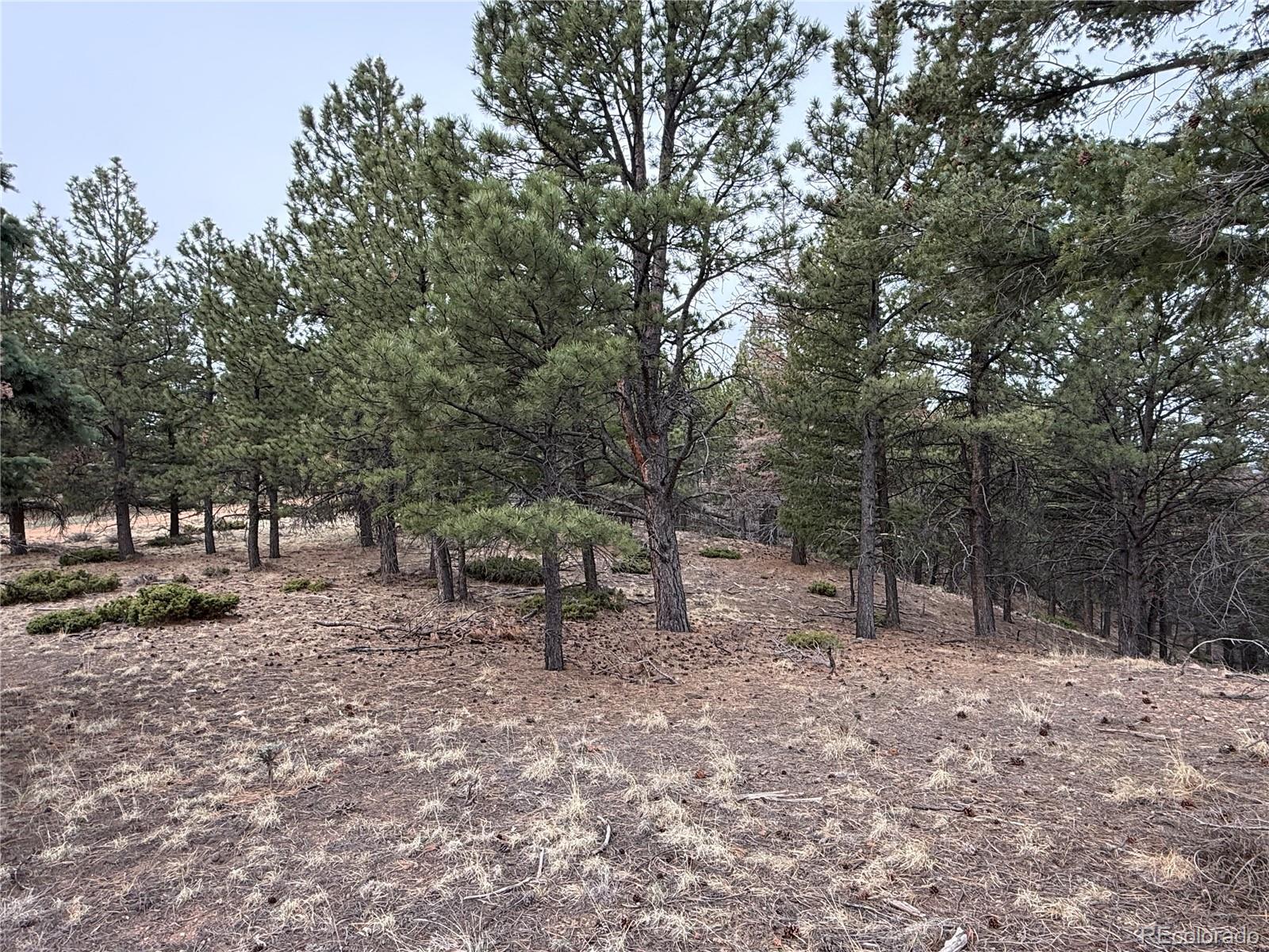 Lot 152 Tahmoush Lane