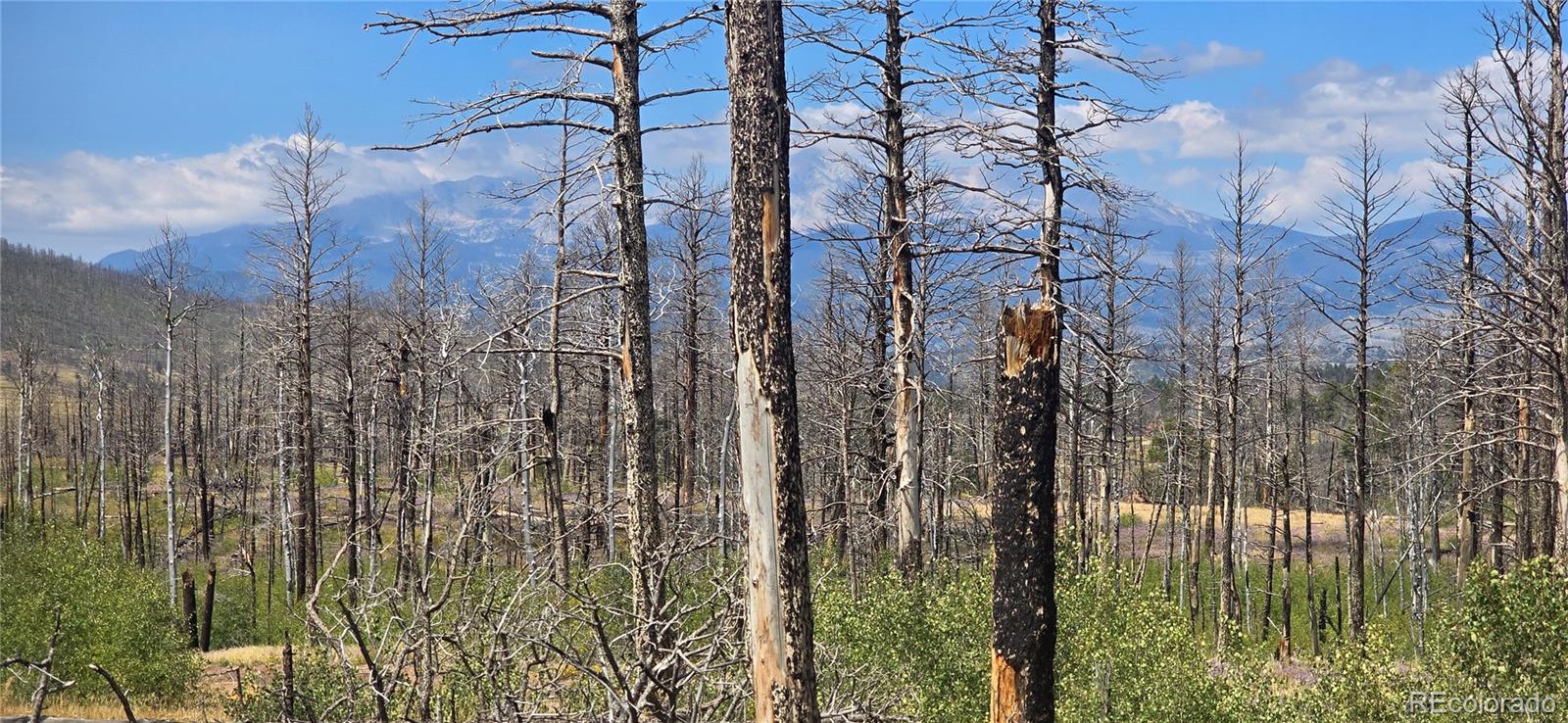 Lot 1242 Granville Loop
