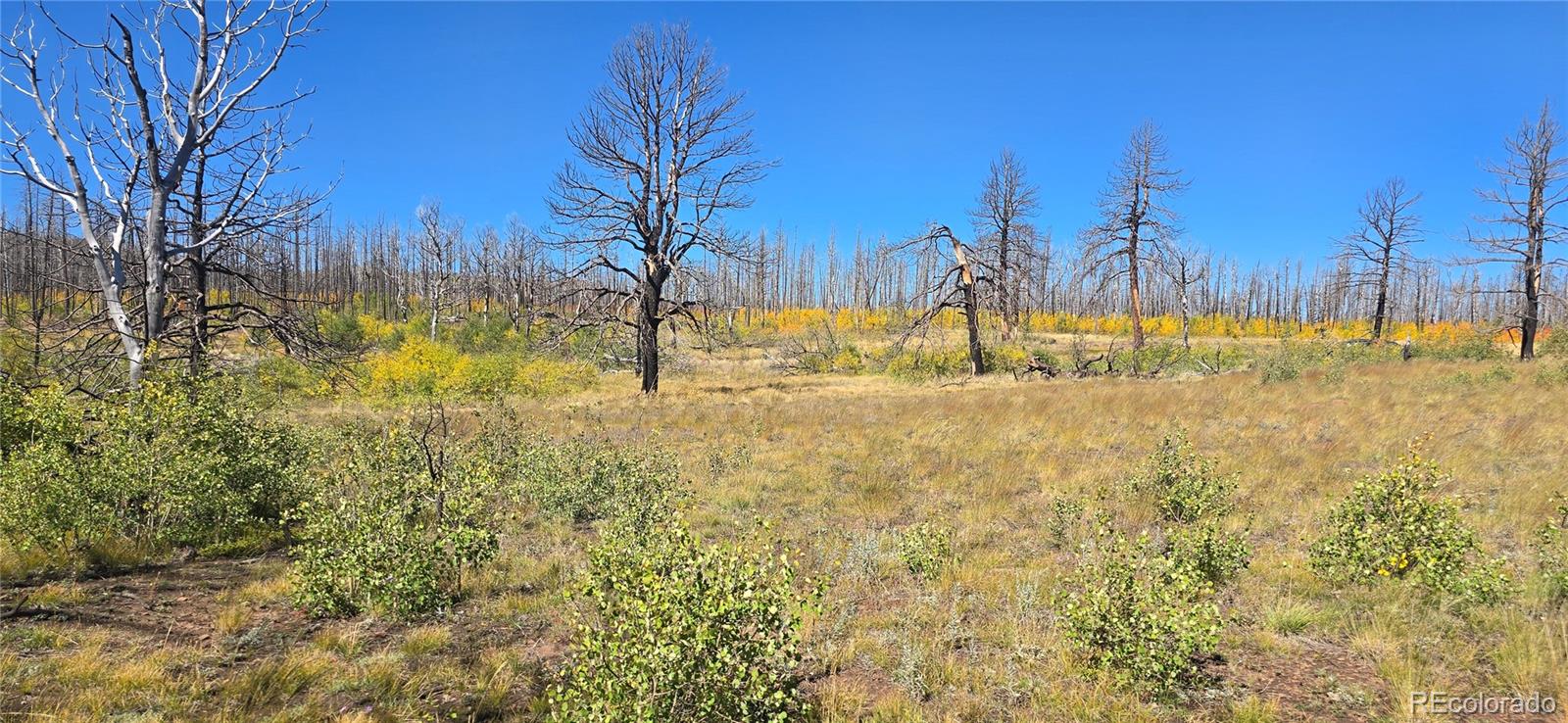 Lot 1684 Emery Loop