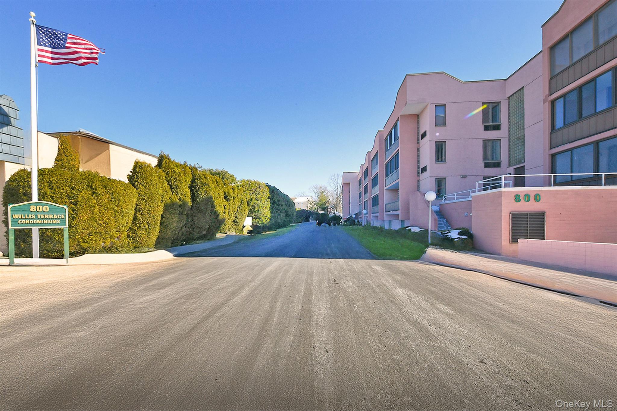 Bright, updated, 62+ condo in Willis Terrace.  This unit features 1  bedroom, 2 updated full baths, beautifully updated kitchen with stainless steel appliances, large carpeted living room, skylights.  Newer washer/dryer and hw heater in unit. Lots of storage, big closets. Enclosed terrace.  Assigned indoor parking spot and outdoor parking in rear of building.  Updated common area. Close to transportation and shopping.