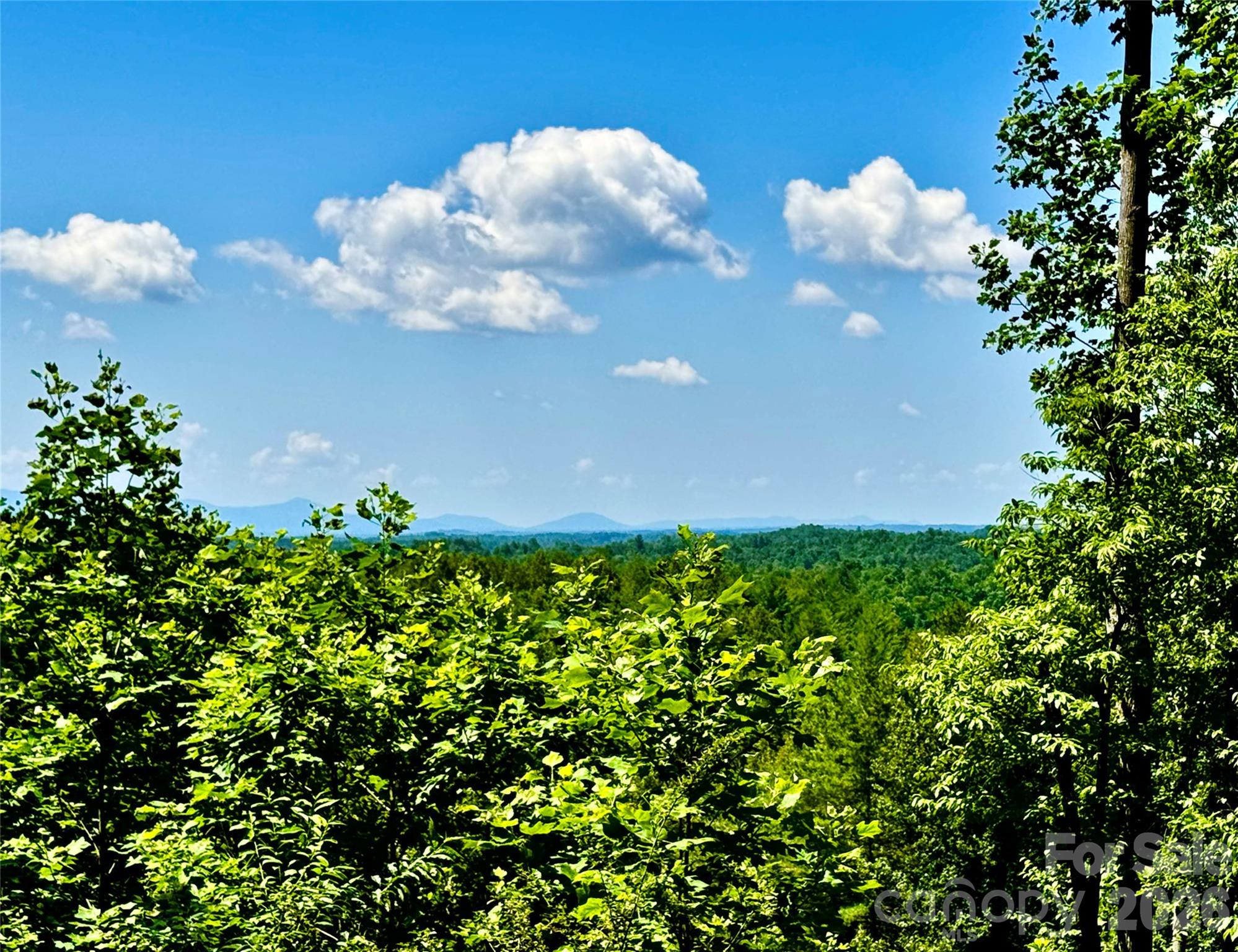 10 acres, Lot 528, Scenic Vista Trail 528