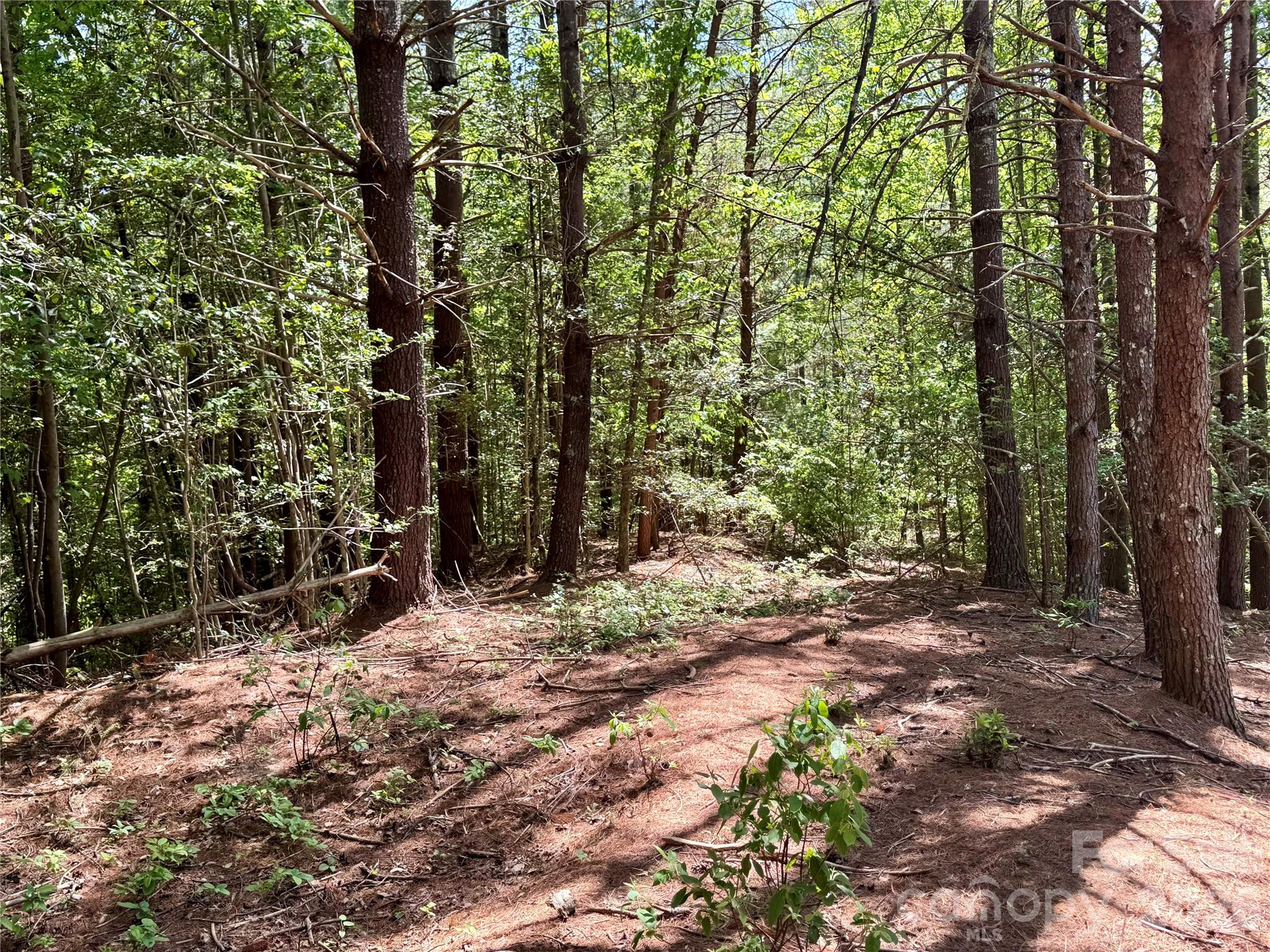 Lot 104 Johns Ridge Parkway 104