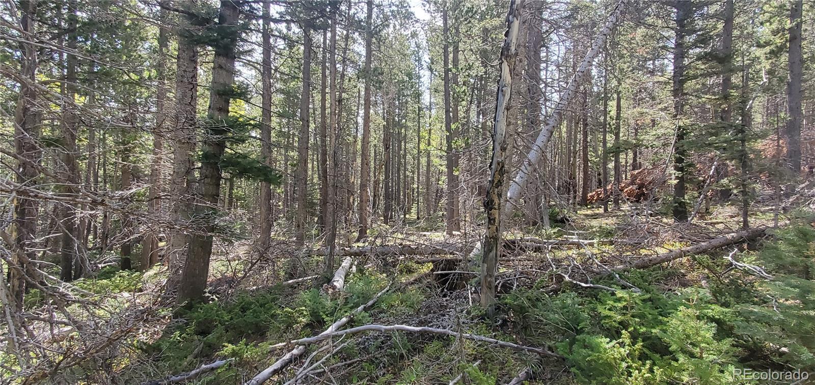 Lot 3031 Bolwell Lane