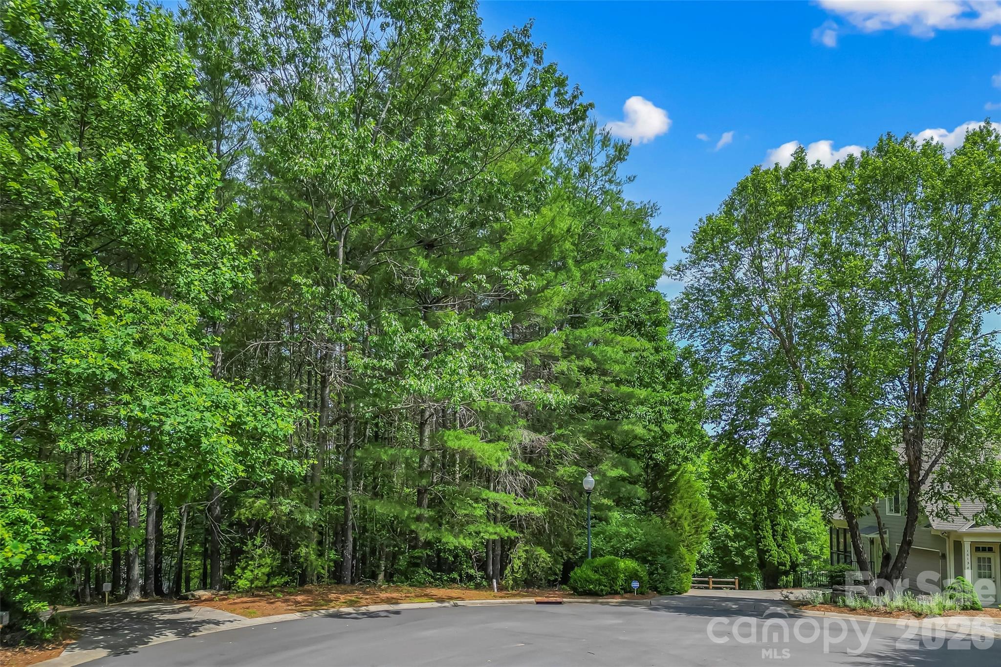 1513 Braxton Gate Drive 216