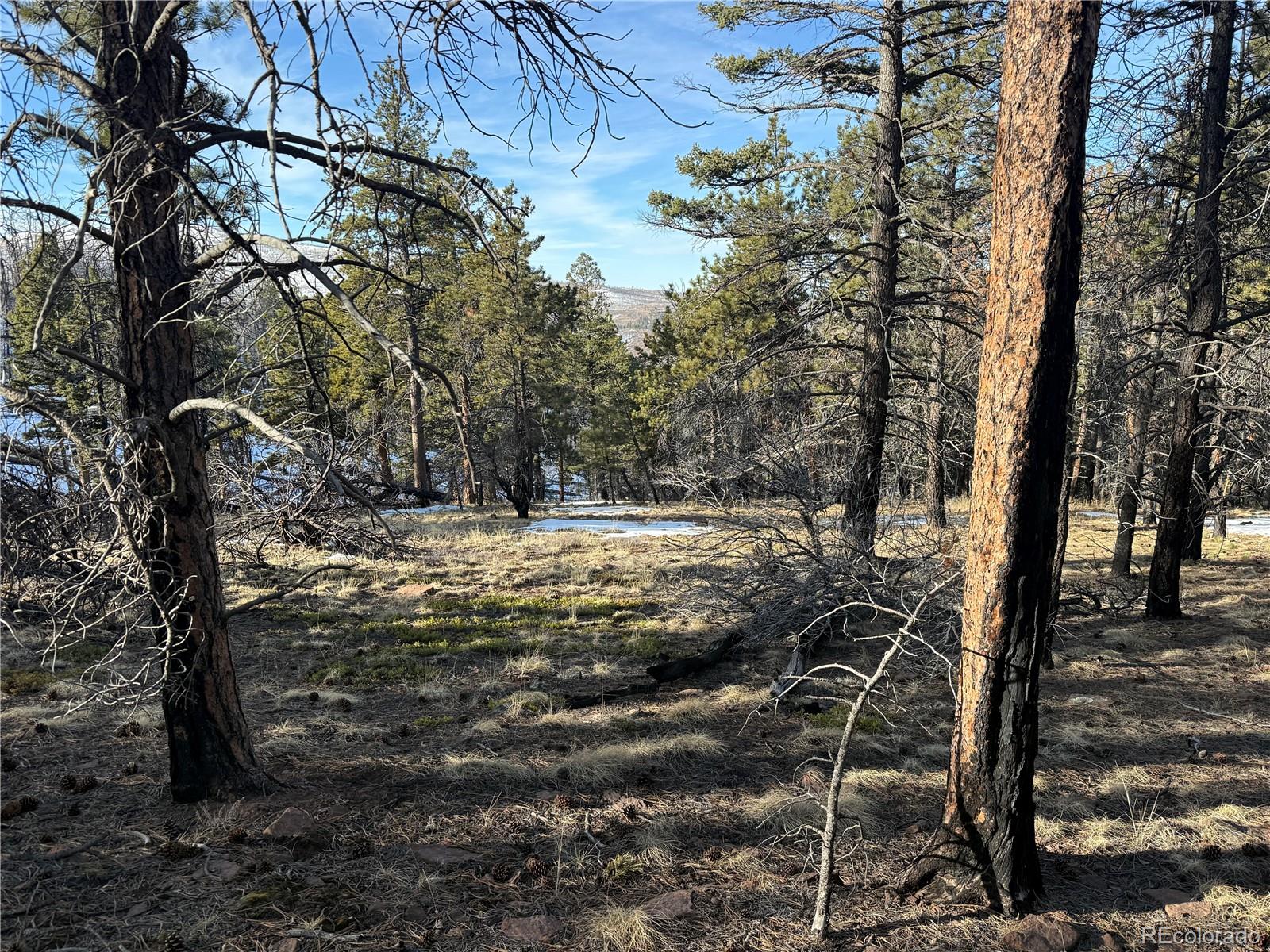 Lot 356 Spangle Drive