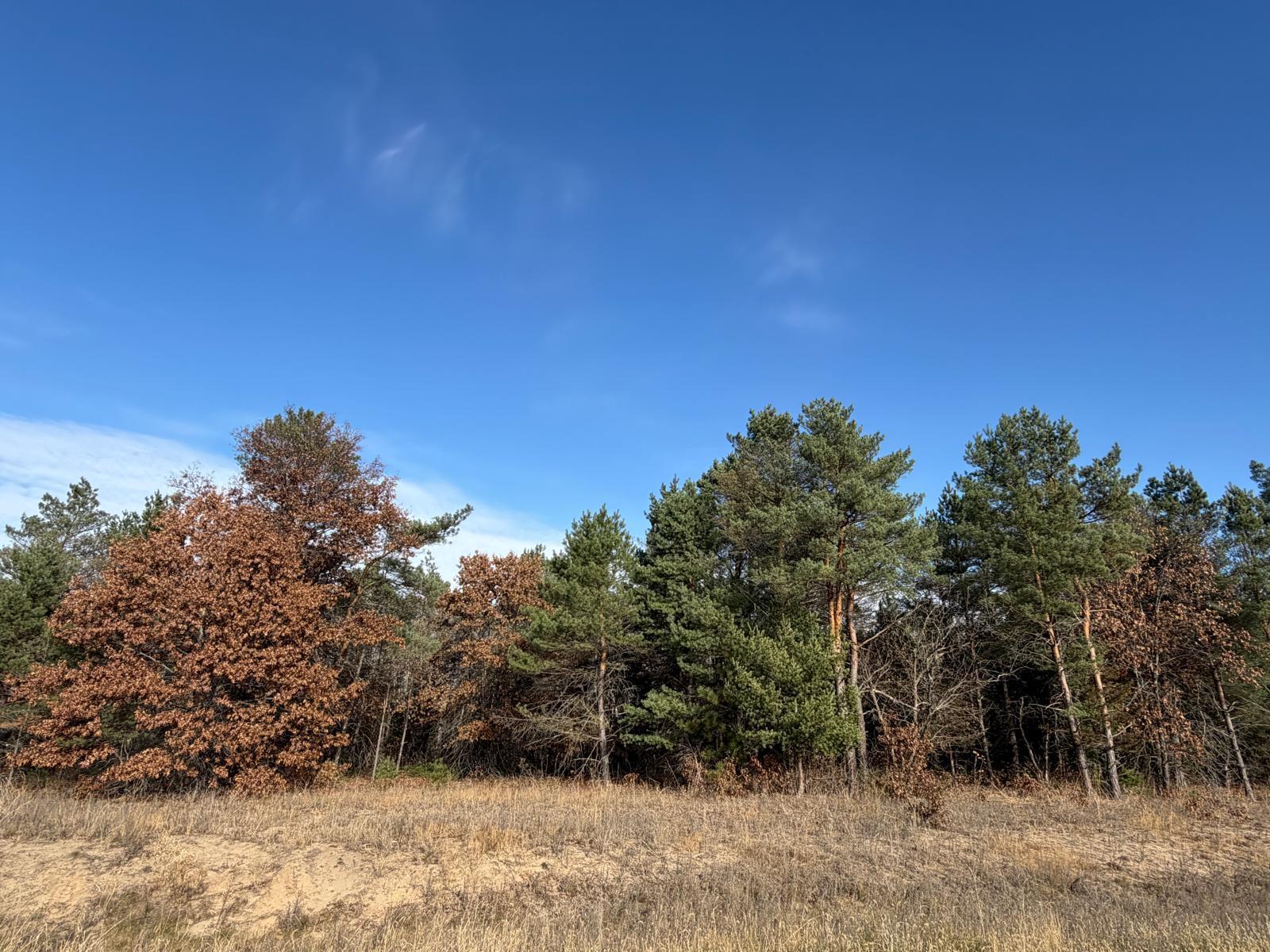 2.88-Acre Private Wooded Lot.Create your own private retreat in this stunning acreage community, where every lot ranges from 2.5 to 4+ acres of mature woods and peaceful natural surroundings. Here, you can build the home you’ve always imagined, tucked among towering trees with plenty of room to spread out.This neighborhood sits in a dream location for outdoor lovers—direct access to the Sand Dunes State Forest and just steps from the Sherburne National Wildlife Refuge, offering thousands of acres of trails and protected land to explore. Yet you’re only minutes from Big Lake and Zimmerman, making daily errands, schools, shopping, and dining incredibly easy.More than half of the community is already spoken for. Claim your lot now and experience the perfect blend of country quiet and convenient living.