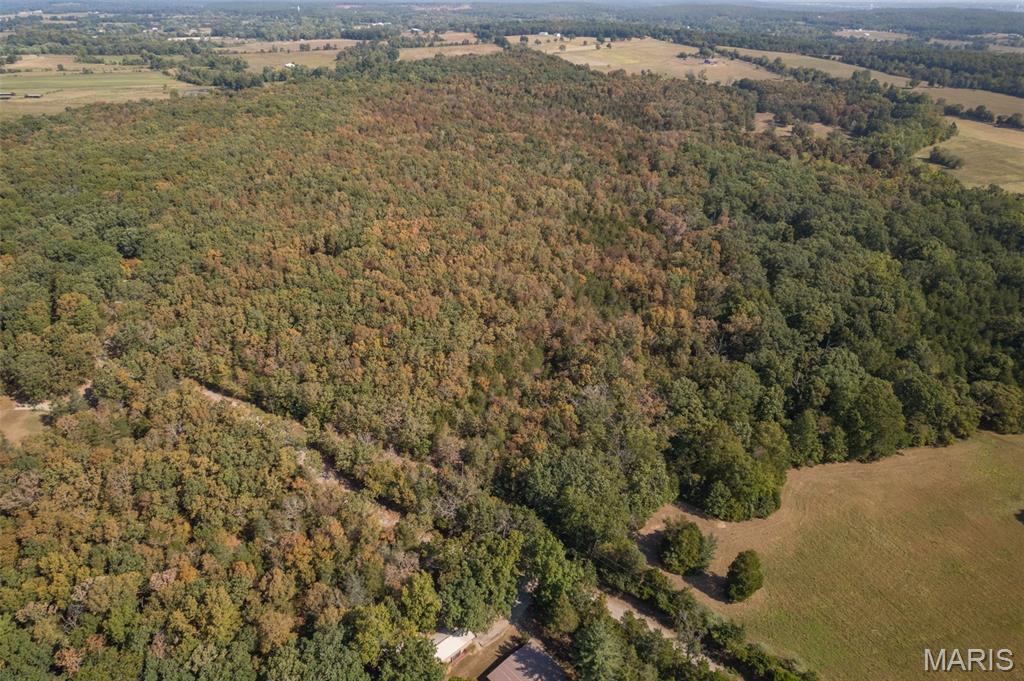 12.5+/- Acres On Effin Road