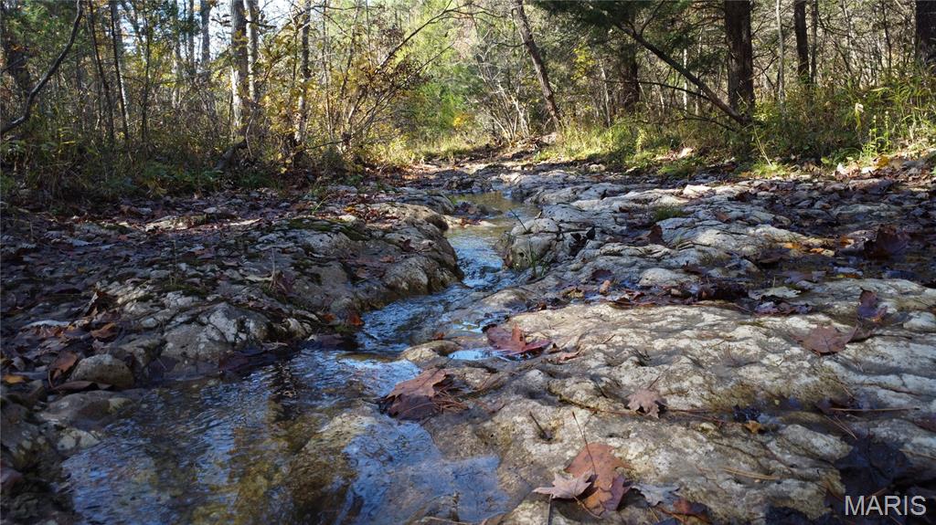 10256 Christina Trail