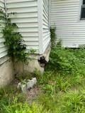 528 N Washington Street