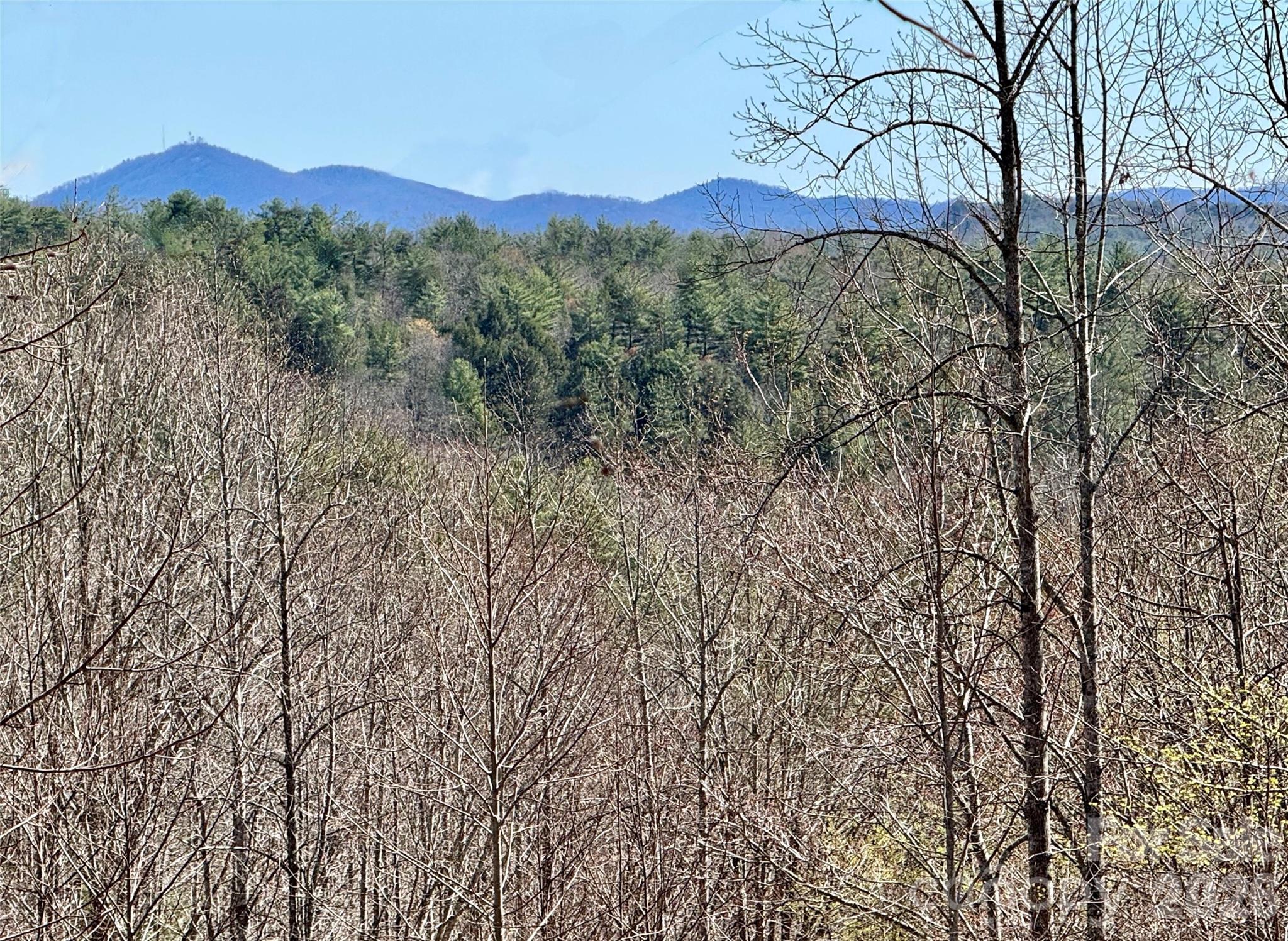 Lot 42, Round Mountain Parkway 42
