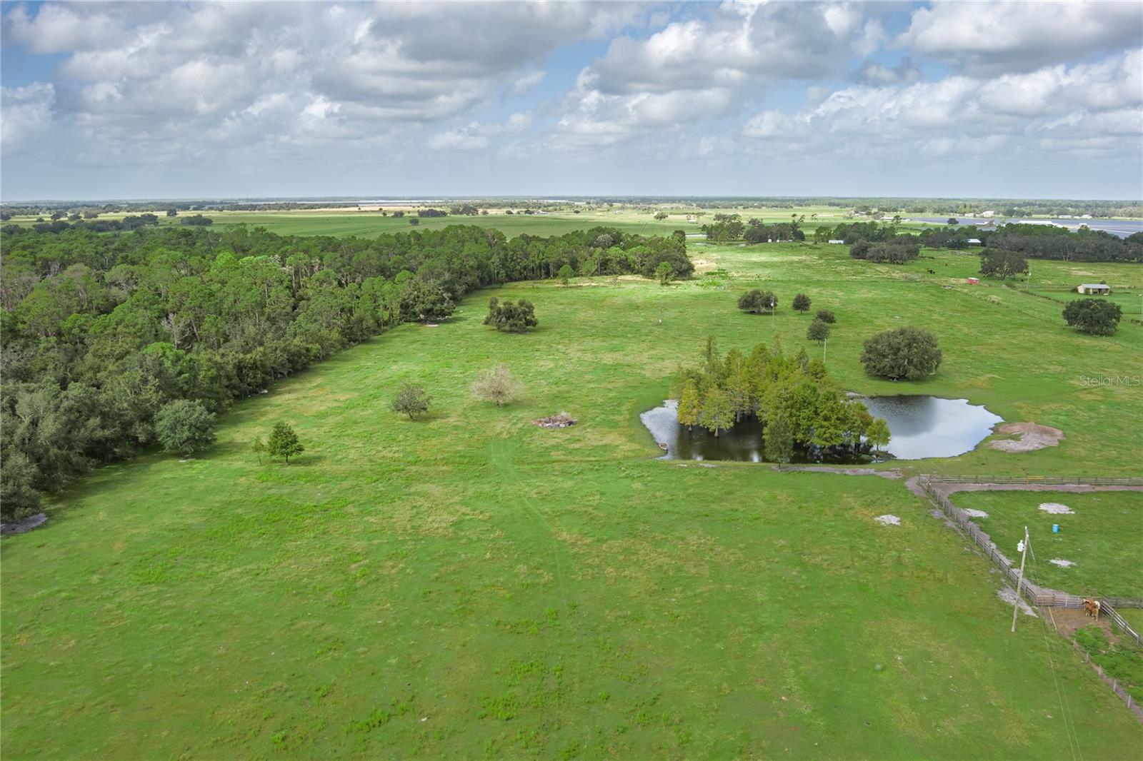 1126 County Road 665