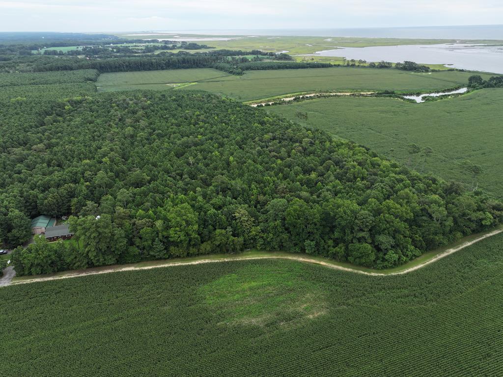 Seaside Woodlands:  21.42 acres of indigenous woodlands lay off a private road, close enough to the sea to smell and feel the breezes. Surrounded by cultivated fields and less than a mile is the country boat ramp and dock on Parkers Creek, which is easily navigable to the Virginia Inside Passageway, barrier island, and the Atlantic. Very private indeed.
