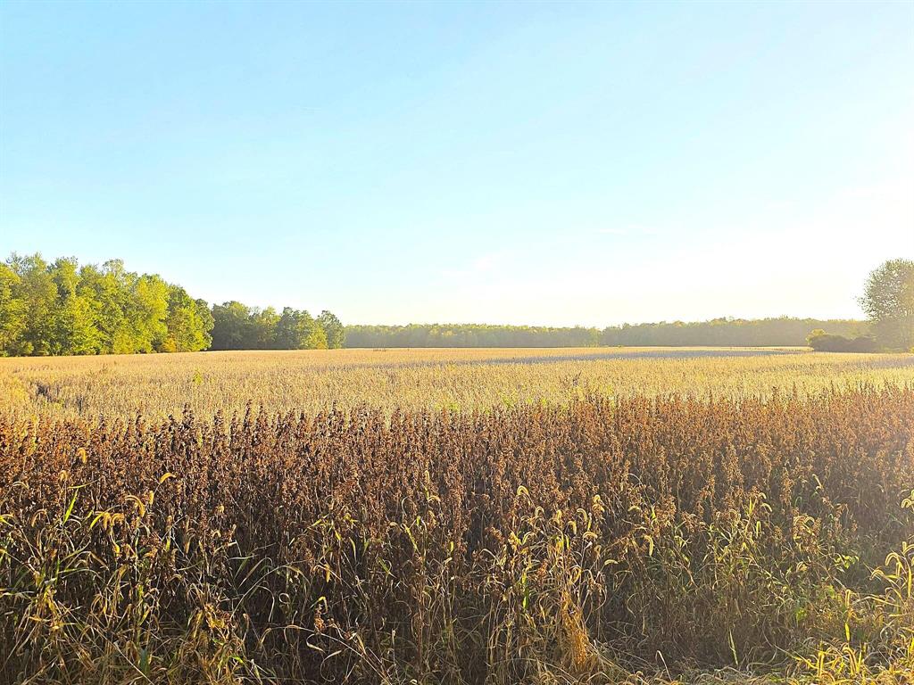 *AUCTION* Land Sale. Parcel 3 of 4 Neighboring Parcels being sold in auction October 29, 2025. Mostly tillable land great for farming or for building that dream home. To view this property please join us October 15th and 20th from 3pm to 4pm open house style viewing.Parcel 3 is a 15.3 +/- Acre child parcel being split off from a 59 +/- Acre parent parcel. The Land Division Split will be completed following the close of the auction.Please see https://www.spauldingbid.com/Public for more information.