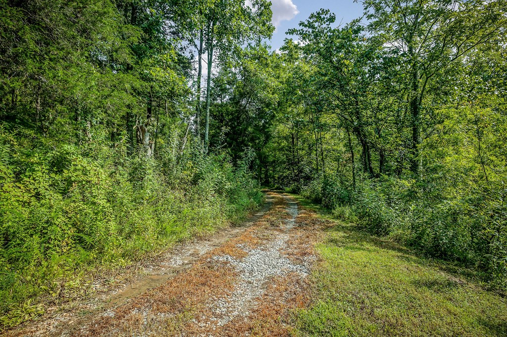 392 Possum Hollow Rd