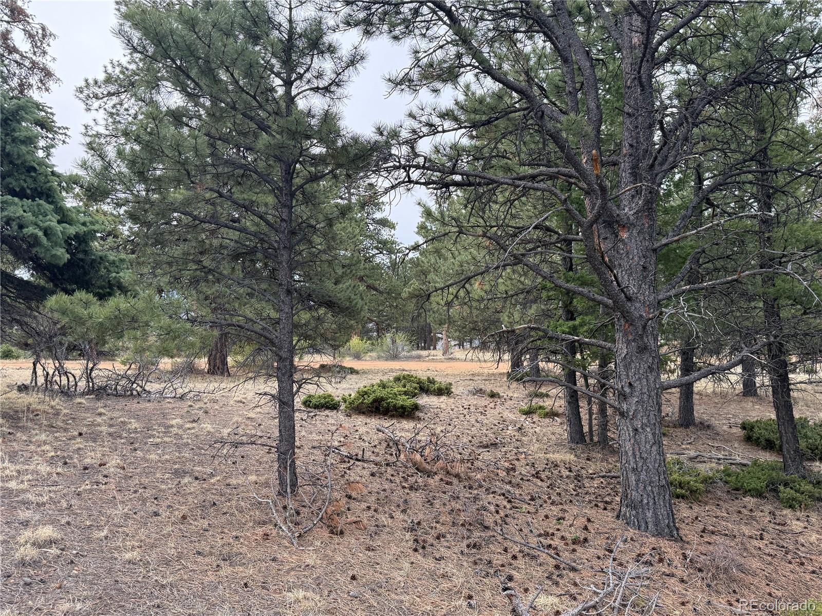 Lot 152 Tahmoush Lane