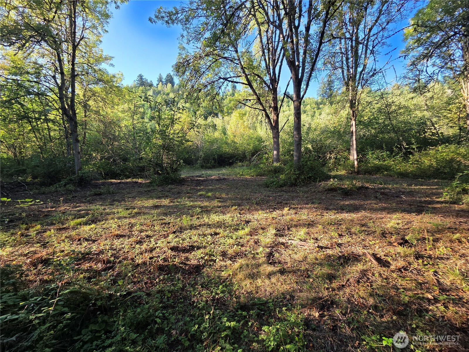 Beautiful wooded 17.270 acre property just off Hwy 12. There are 3 cleared homesites on the lower level, in among the beautiful trees.  Property slopes upward 2/3rds of the way back, allowing space for a home site on topside, which would give a gorgeous view of the Mossyrock Valley Community.  Enjoy this beautiful wild life area by boating, fishing or hiking with Mayfield Lake and Rife  Lake 6 minutes away. School and shopping within close proximity.  DFL status is in place.  Please note there are 2 parcels in this sale.