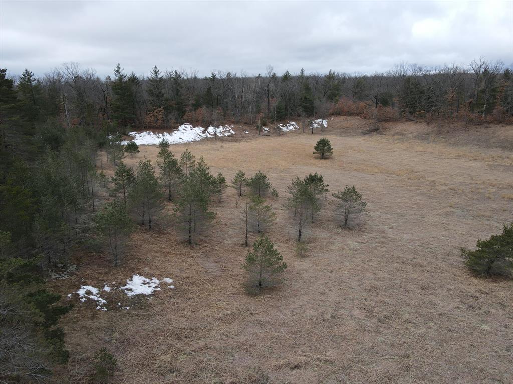 Alcona County Hunting Land! The property is split by M-65 with 43.76 acres on the West side and 32.91 acres on the East side totaling 76.67ac +/-. VanWagoner Rd borders the East side and has power along it. On both sides the woods is very thick and is made up of mostly pine and oak trees. The West side features an open bowl area that is about 5 ac which adds diversity and uniqueness to the property. Located approximately 10 mi North of the town of Curran. For more information dial the listing agent directly.  The ''Contact Agent'' button will not take you to anyone familiar with the property. Current use is Hunting.