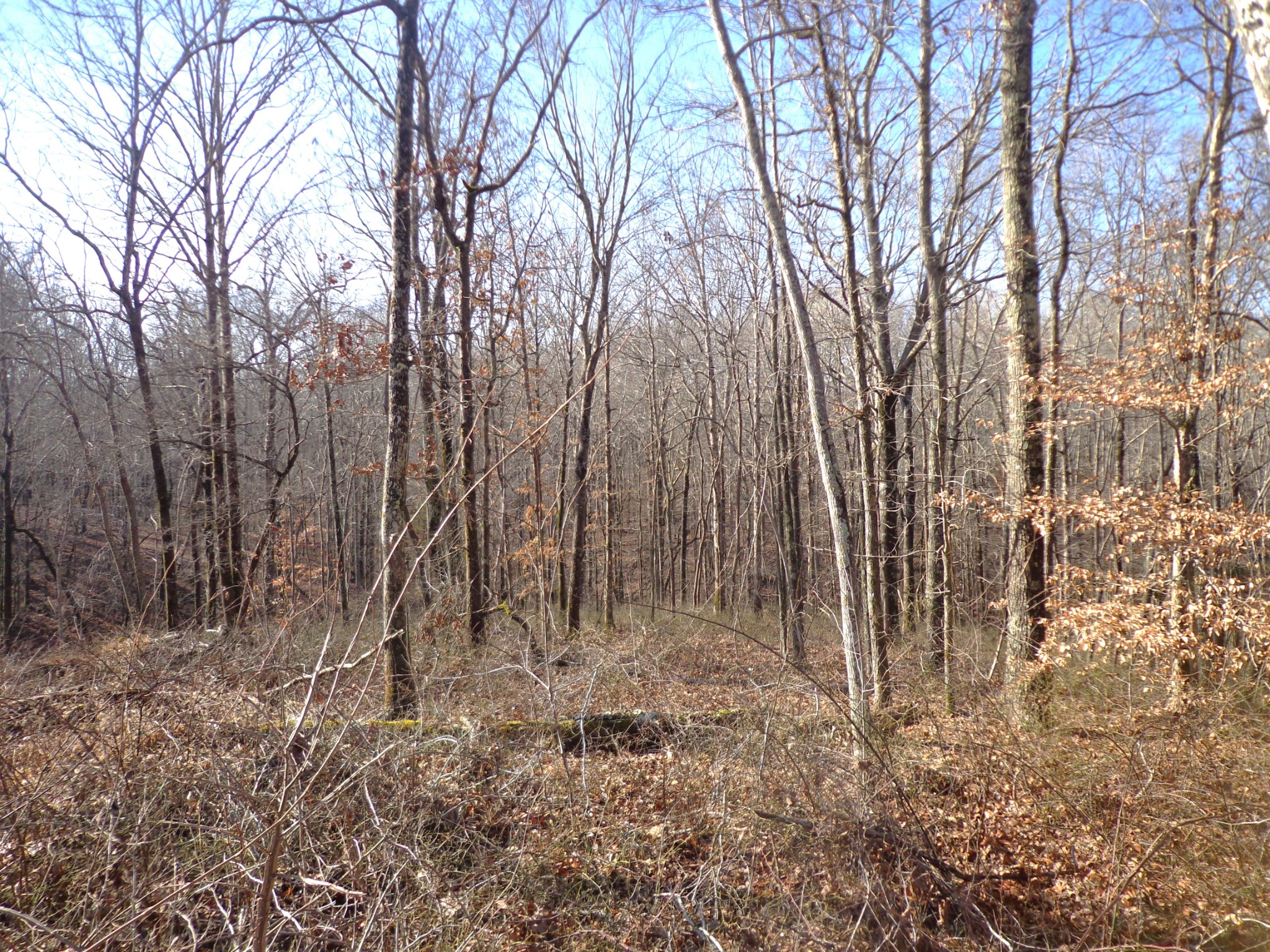 0 Deer Grass Ln