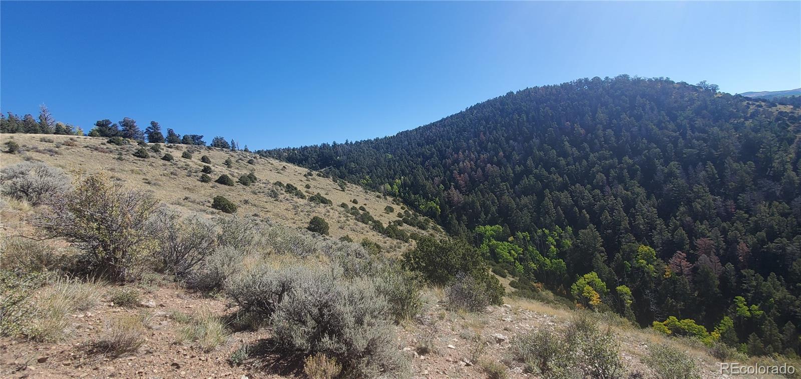 Lot 5821 Covington Road