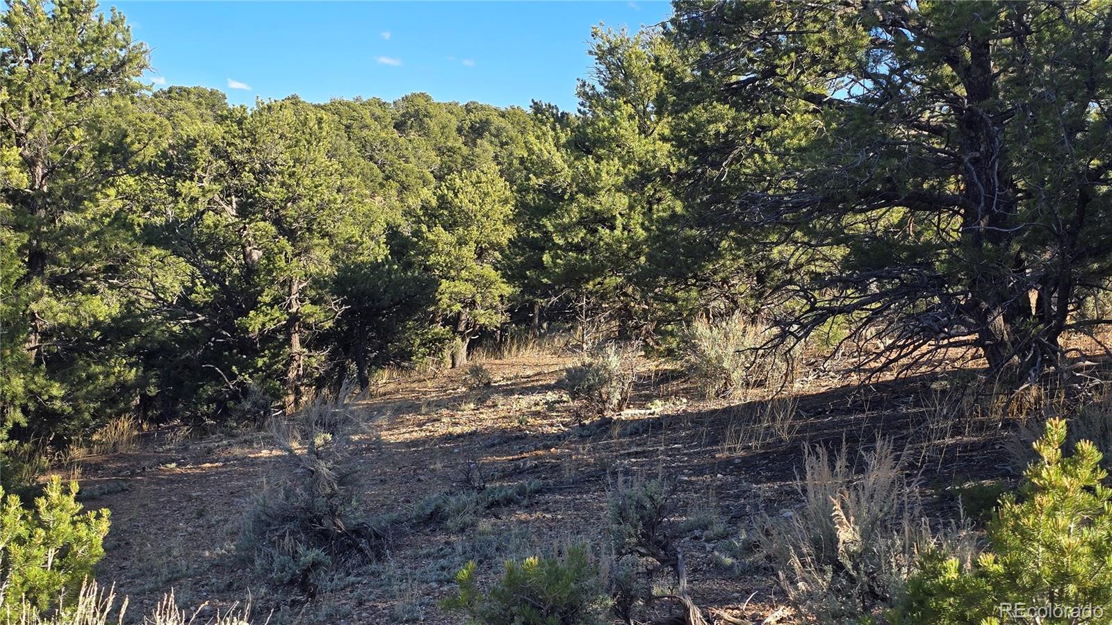 Lot 3886 & 3887 Galloway Road