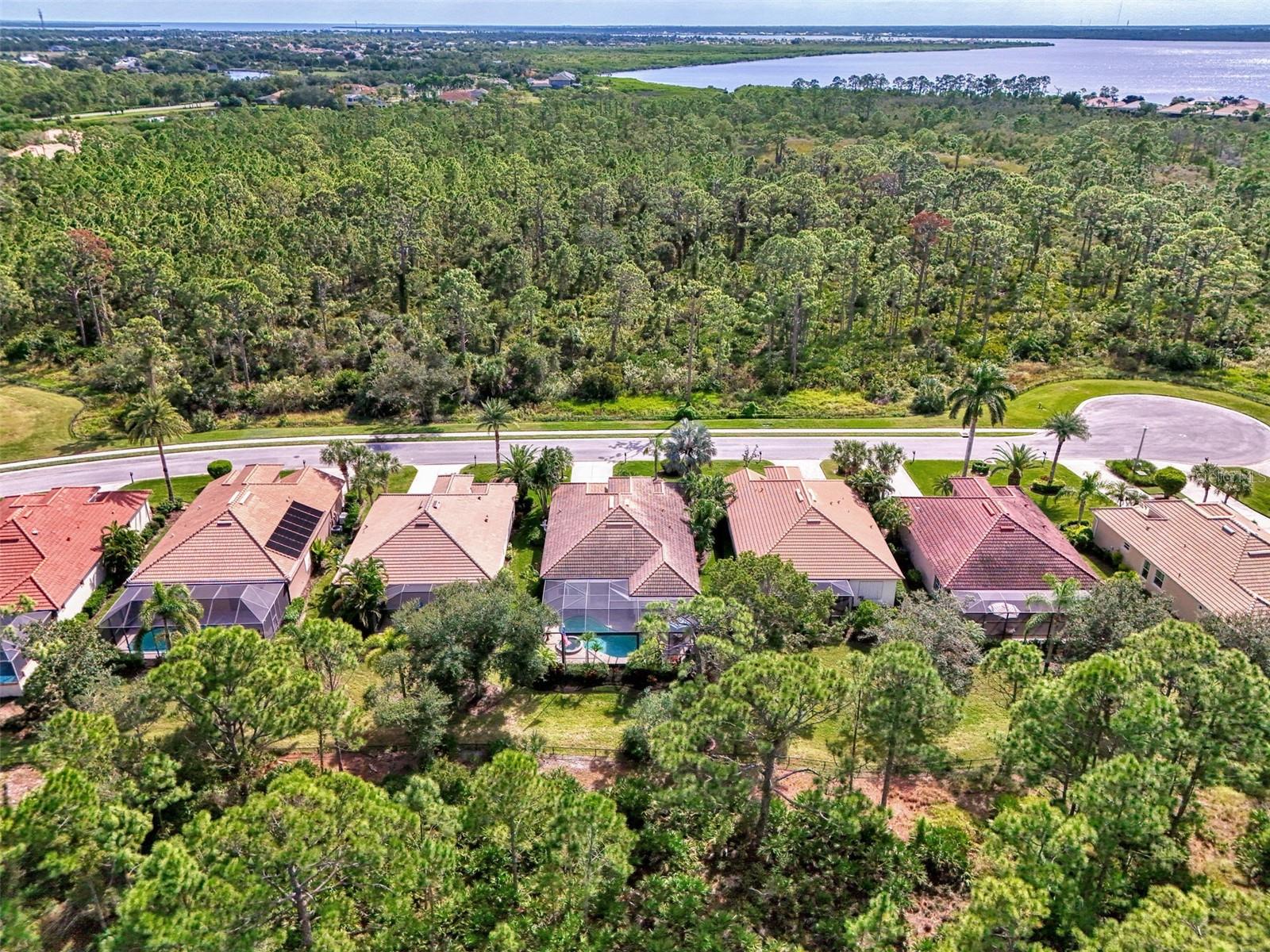 13091 Preserve Court