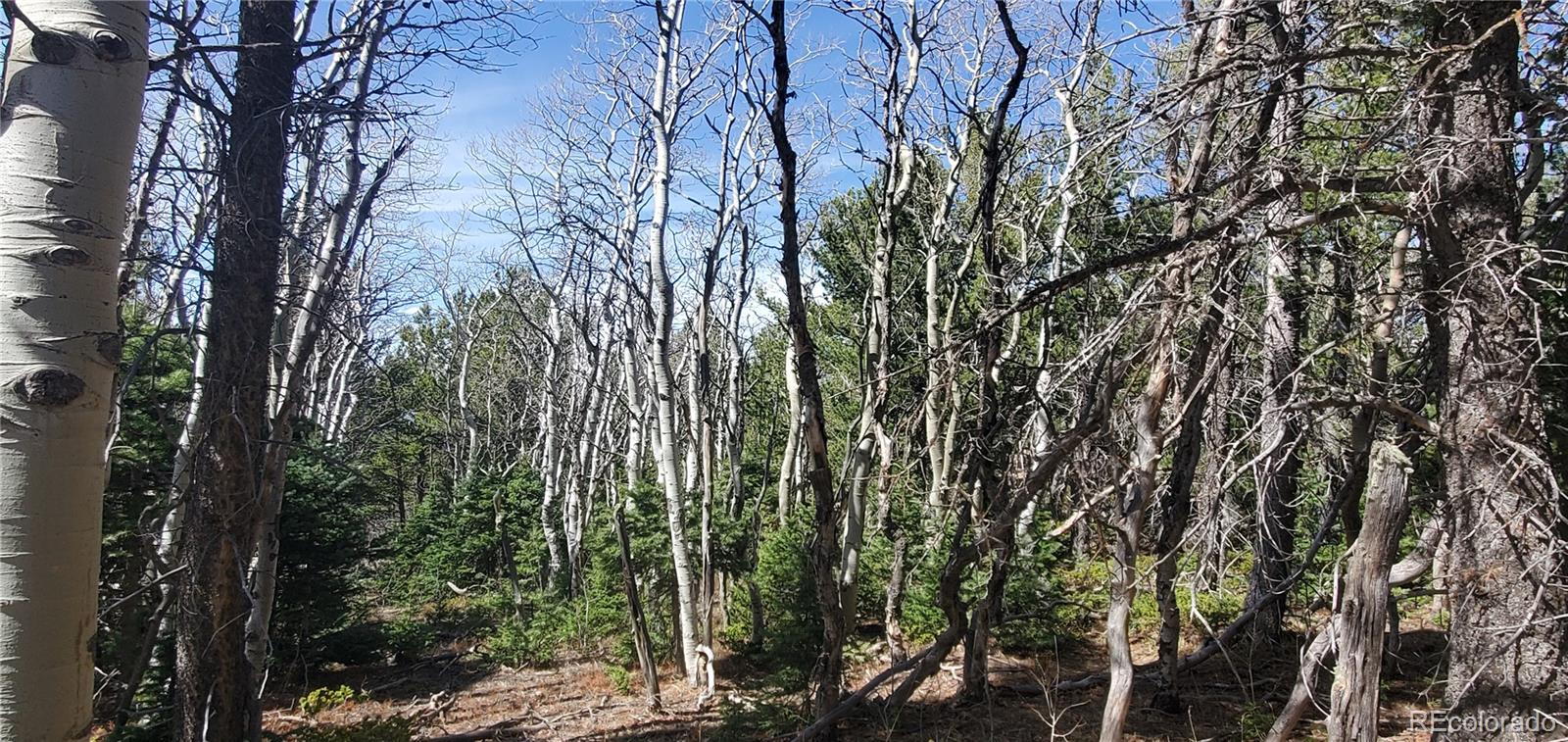 Lot 2560 Grojean Drive