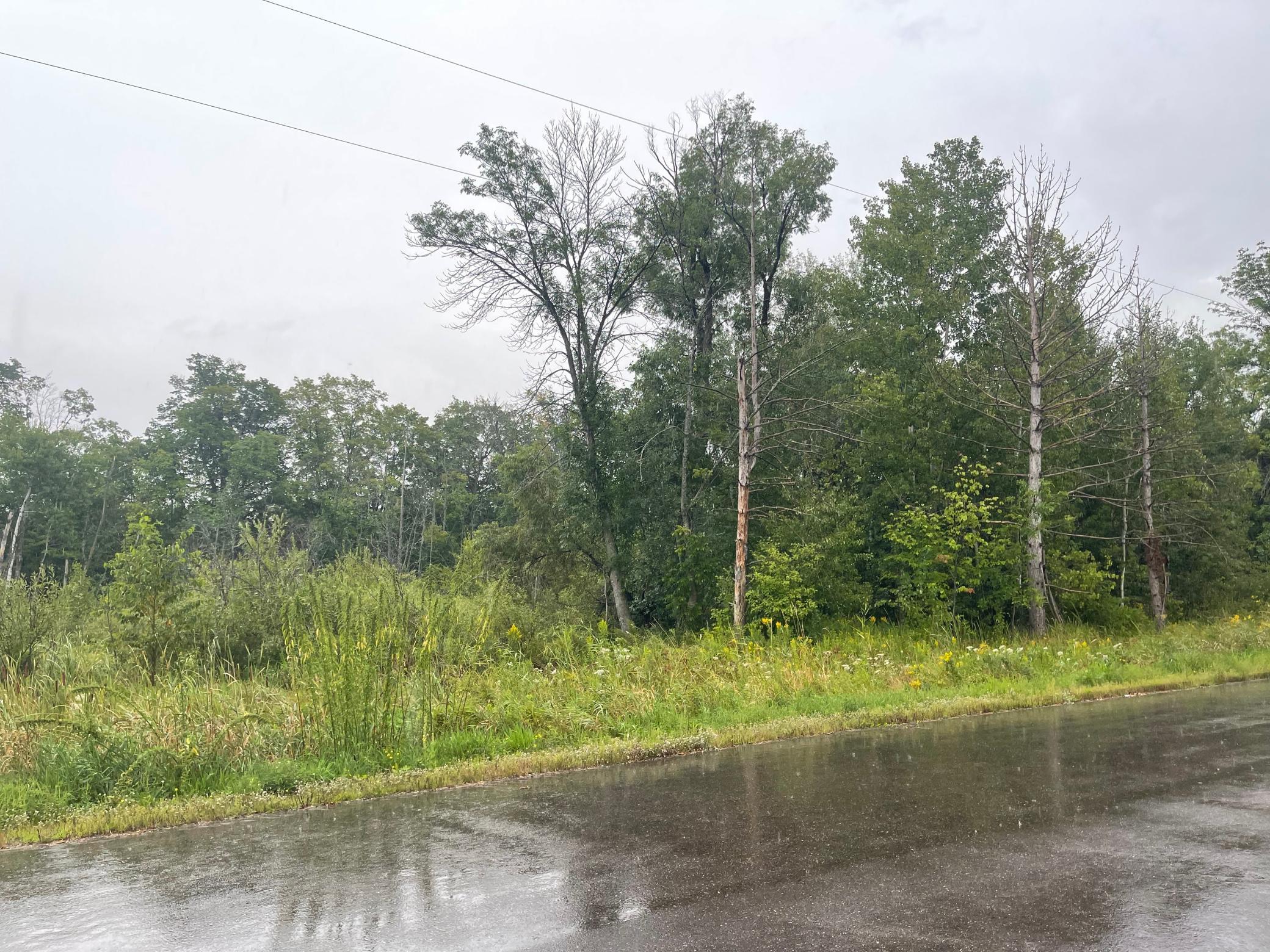 45641 Mille Lacs Parkway