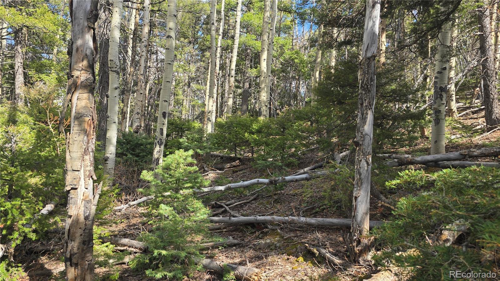 Lot 5261 Scott Road