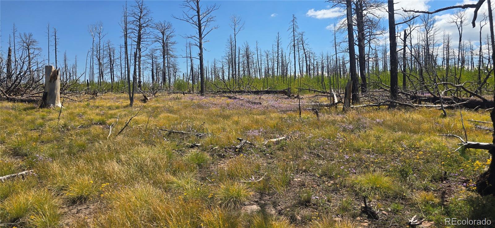 Lot 1242 Granville Loop