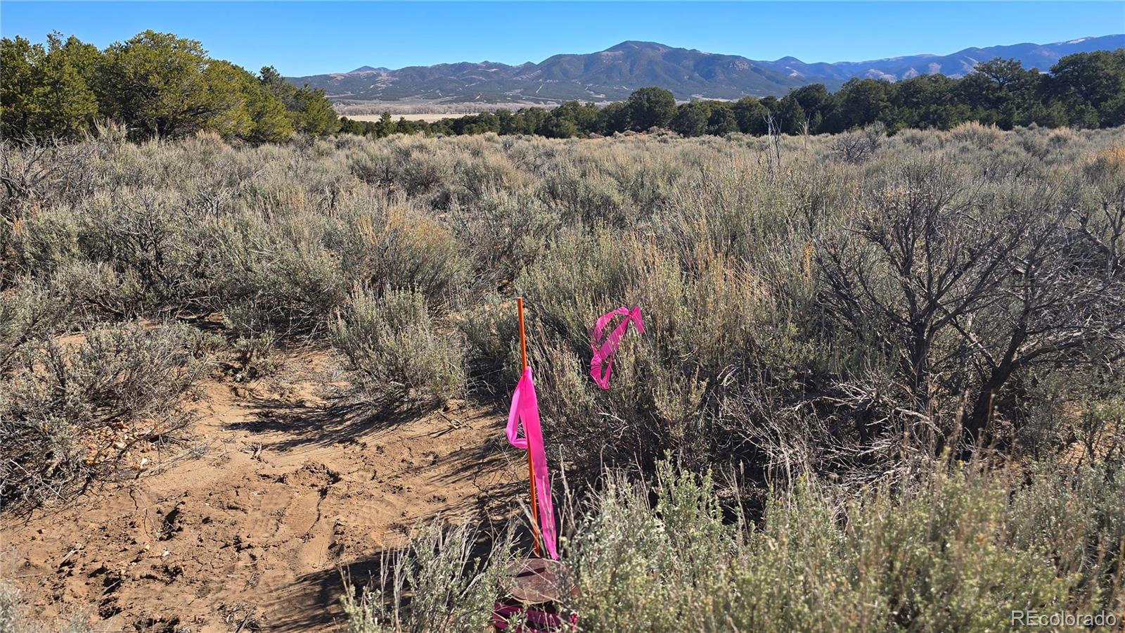 Lot 409 Williams Road