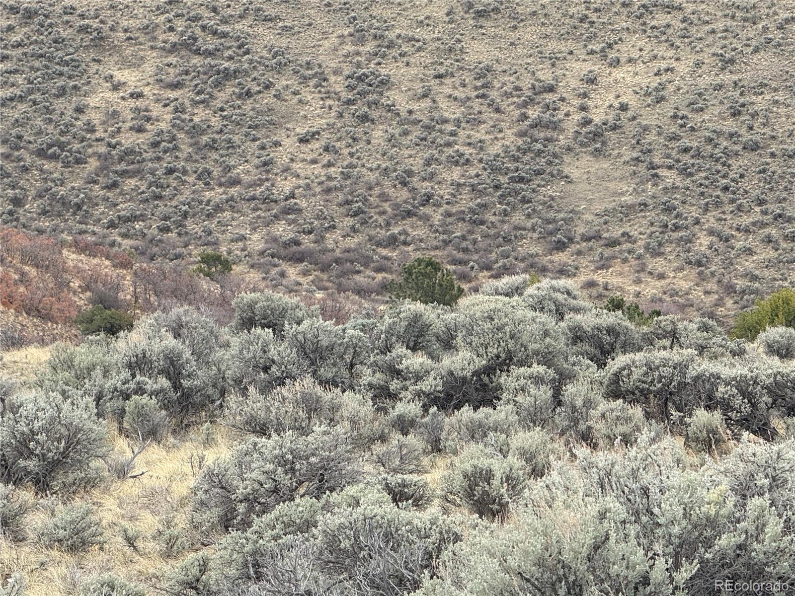 Lot 297 Boothby Lane