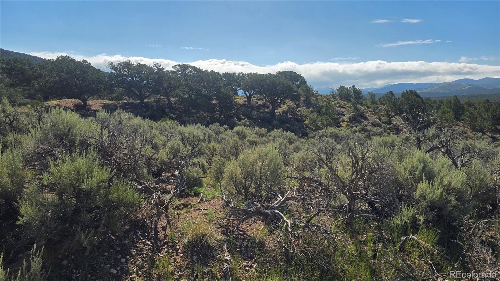 Lot 4296 Renfield Road