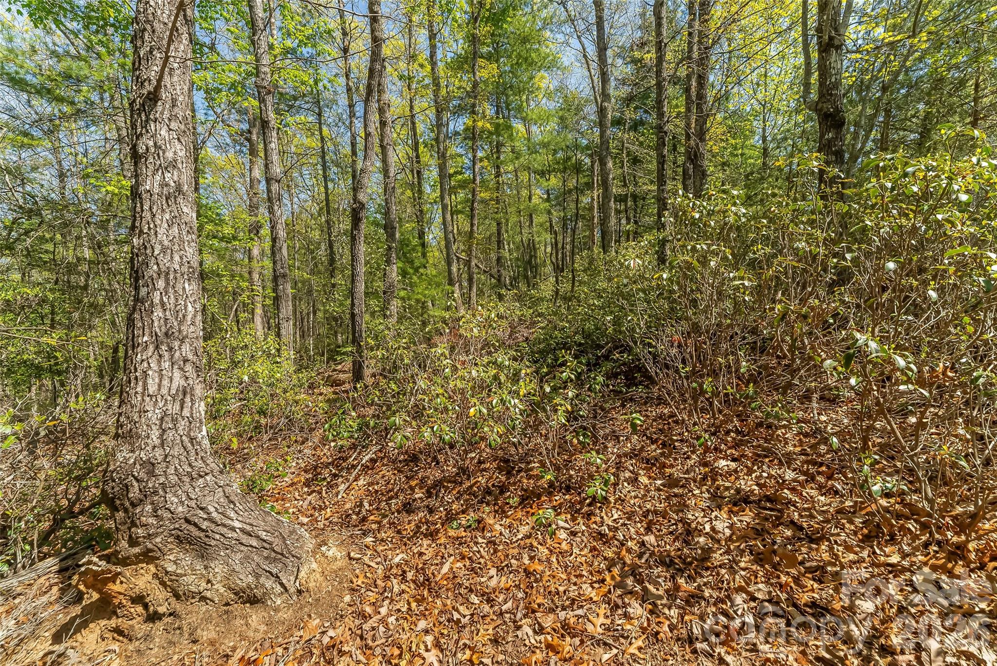 1006 High Trail Drive 32-11
