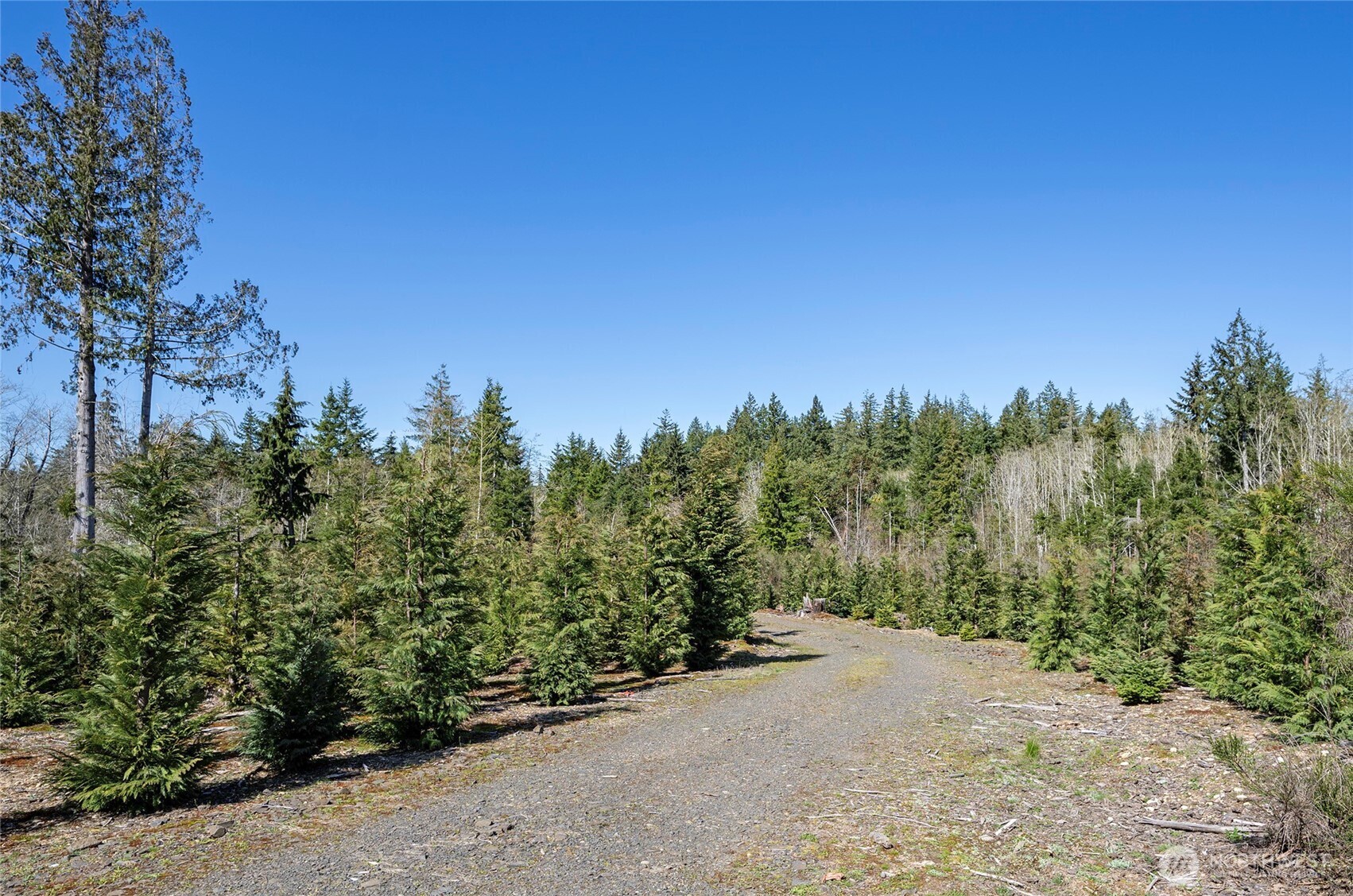 1800 E Harstine Island Road N