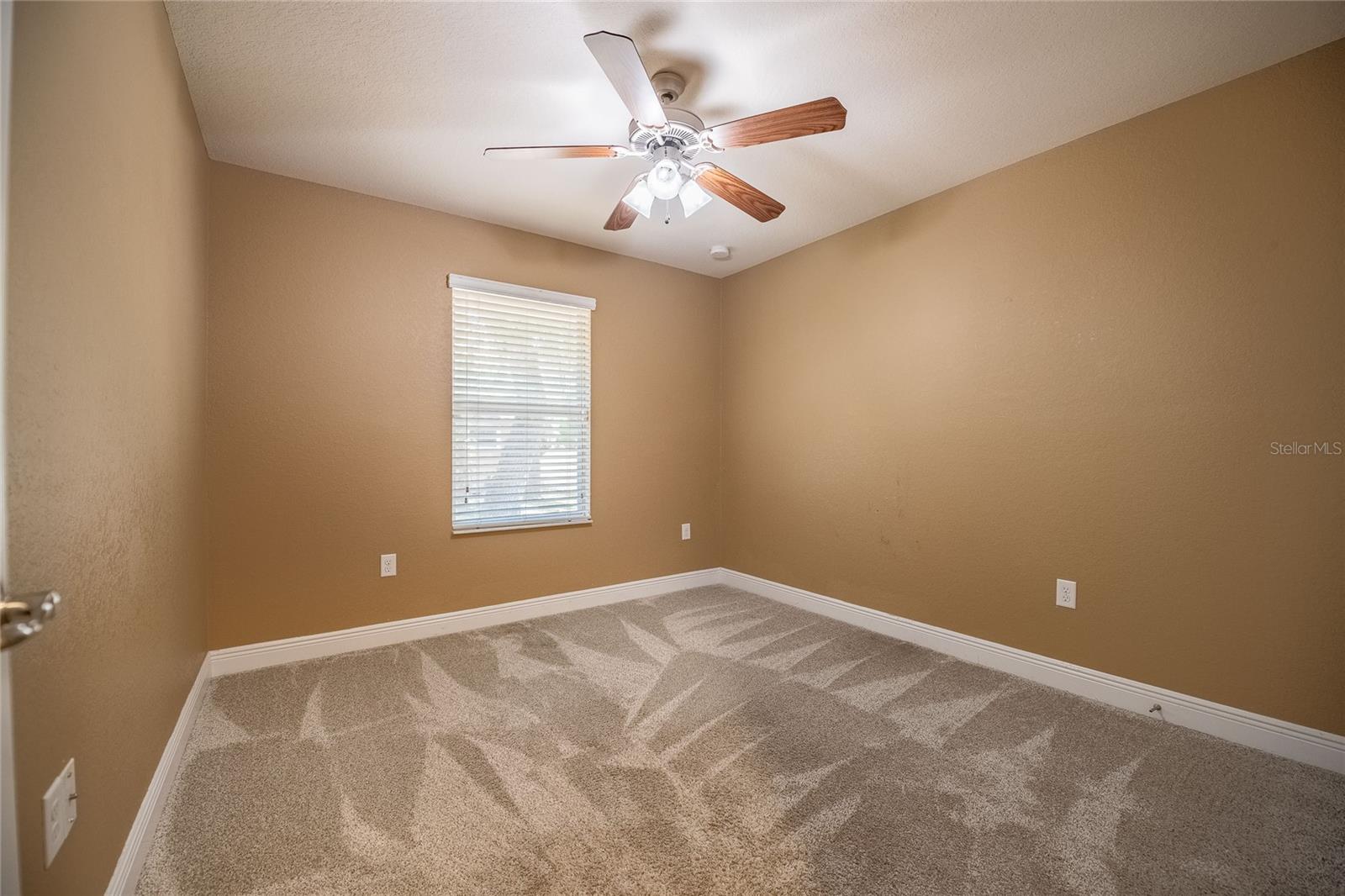2933 Blackwater Oaks Drive