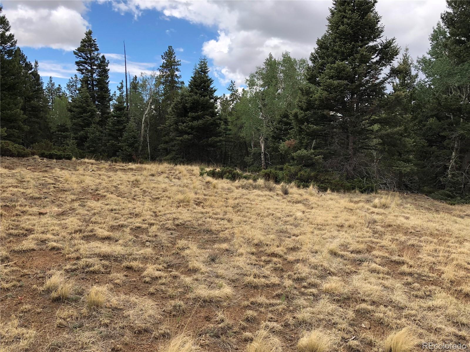Lot 174 Ferris Place