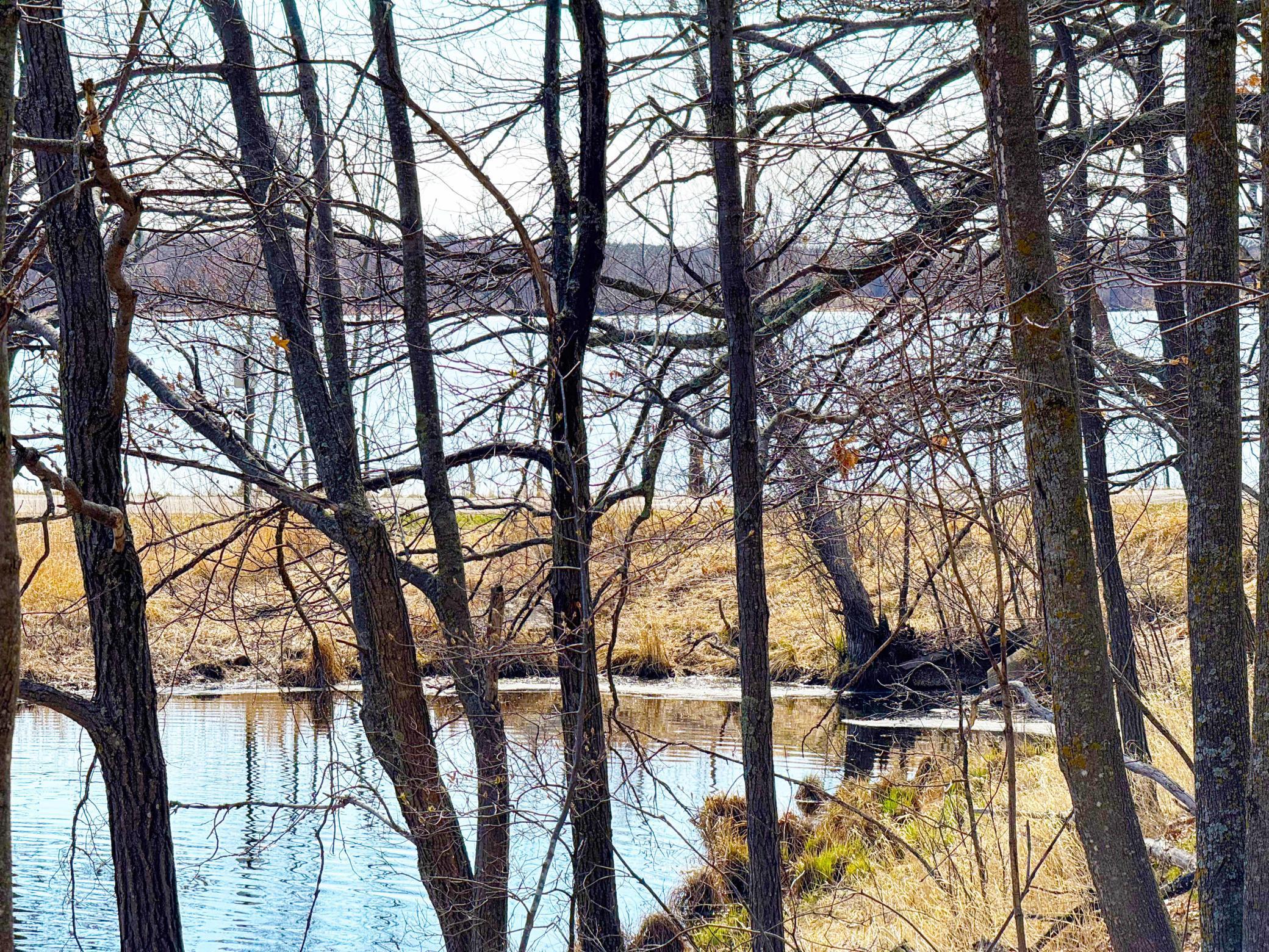 27XXX Greenwood Isle Circle