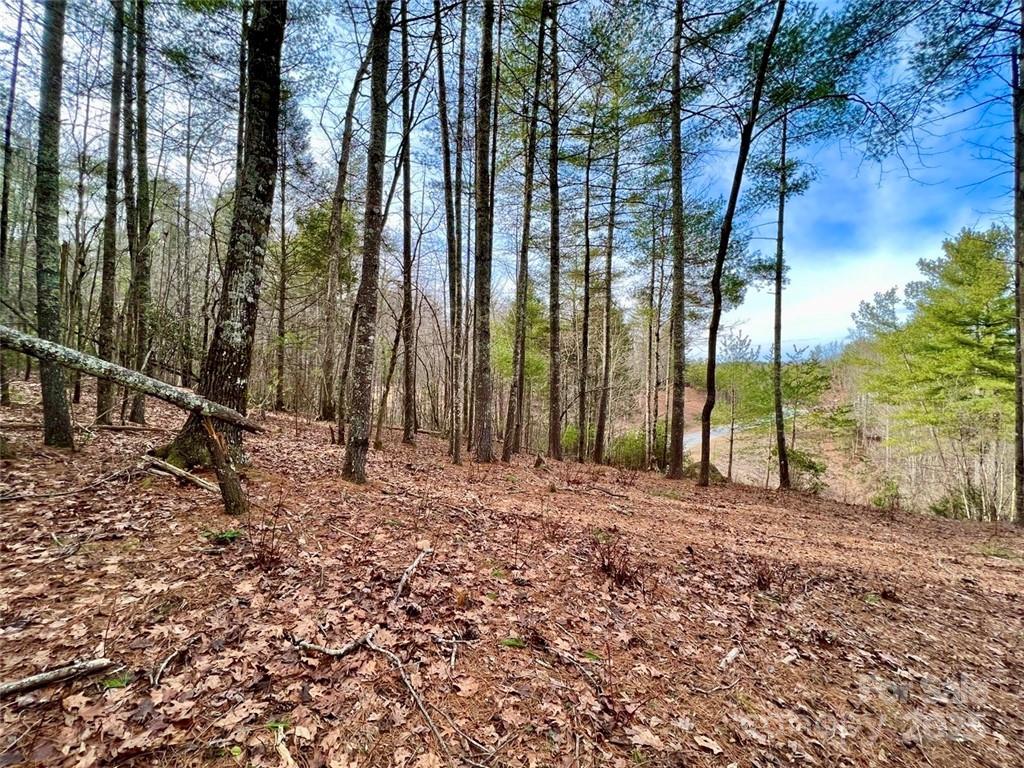 Lot 77, 1712 Round Mountain Parkway Lot 77