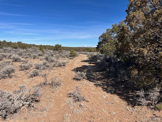 Lot 3 Ravenwood Lane