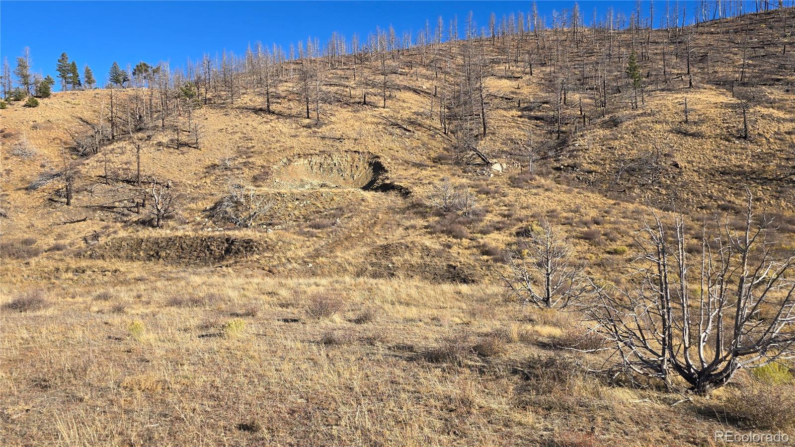 7741 Van Giesen Road