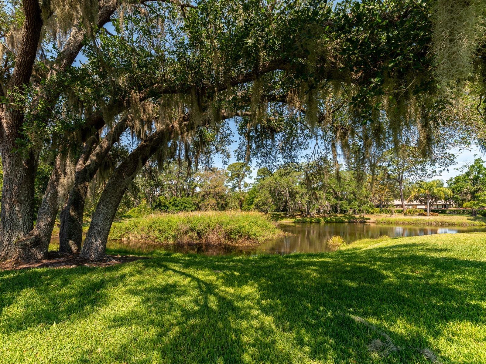 4493 Lake Vista Drive 2