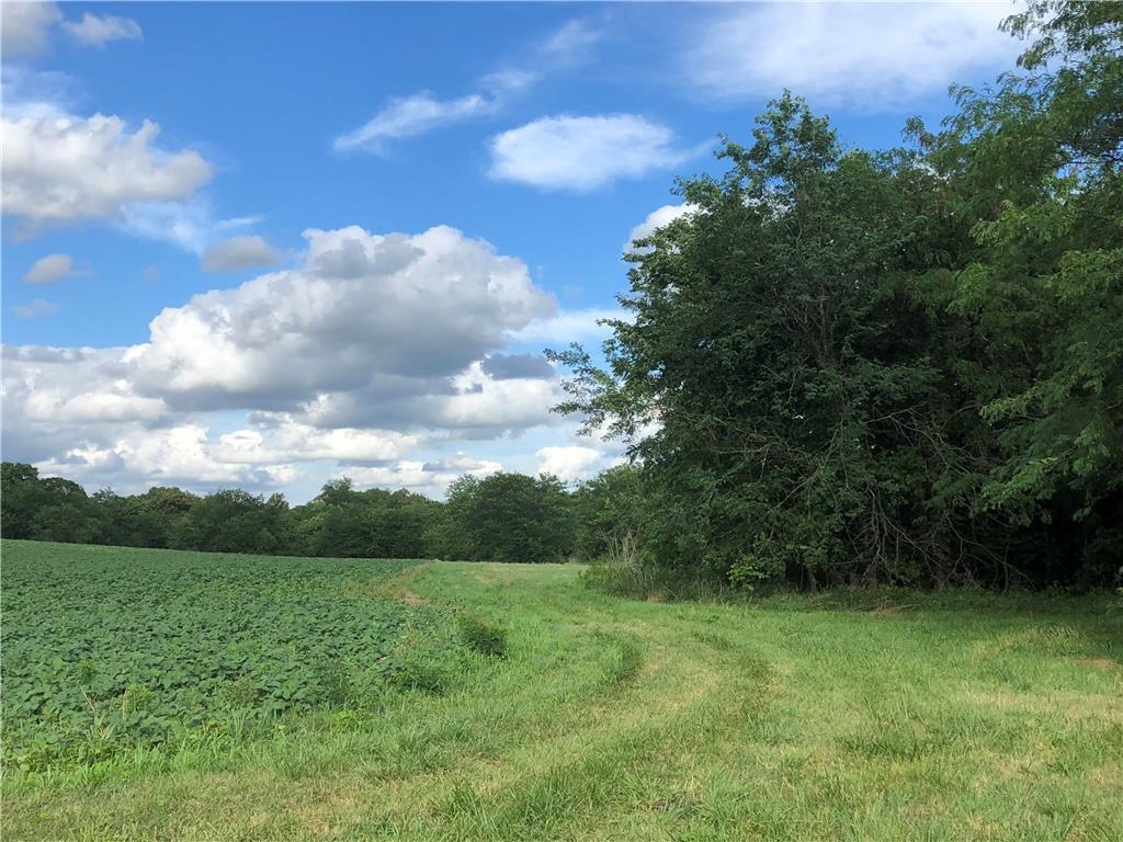 Land for sale in Rosendale, Missouri, 2205776