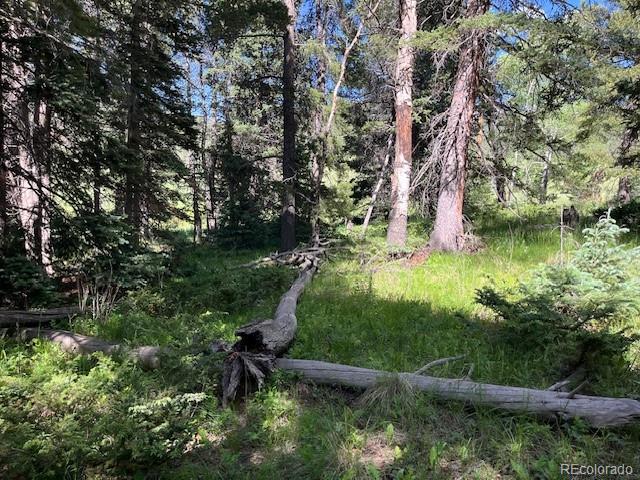 Lot 2893 Coder Place