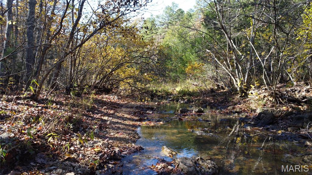 10256 Christina Trail