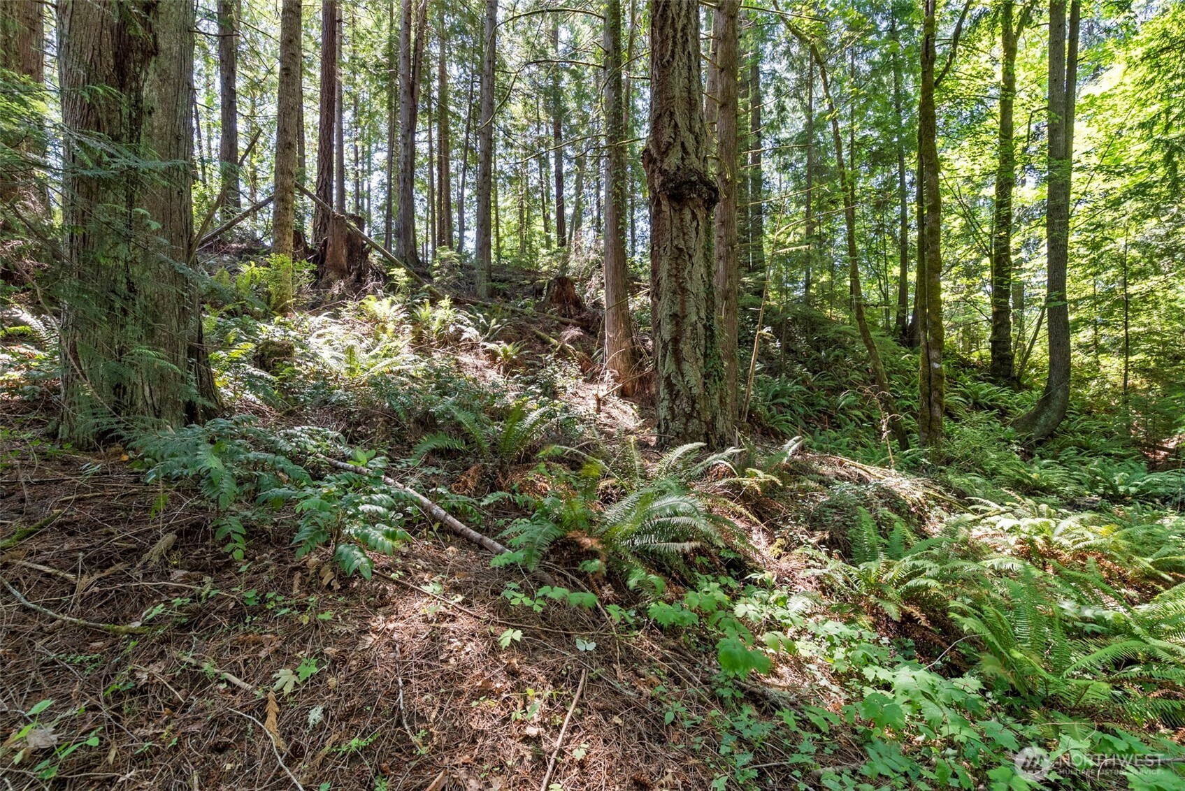 150 E Graham Road