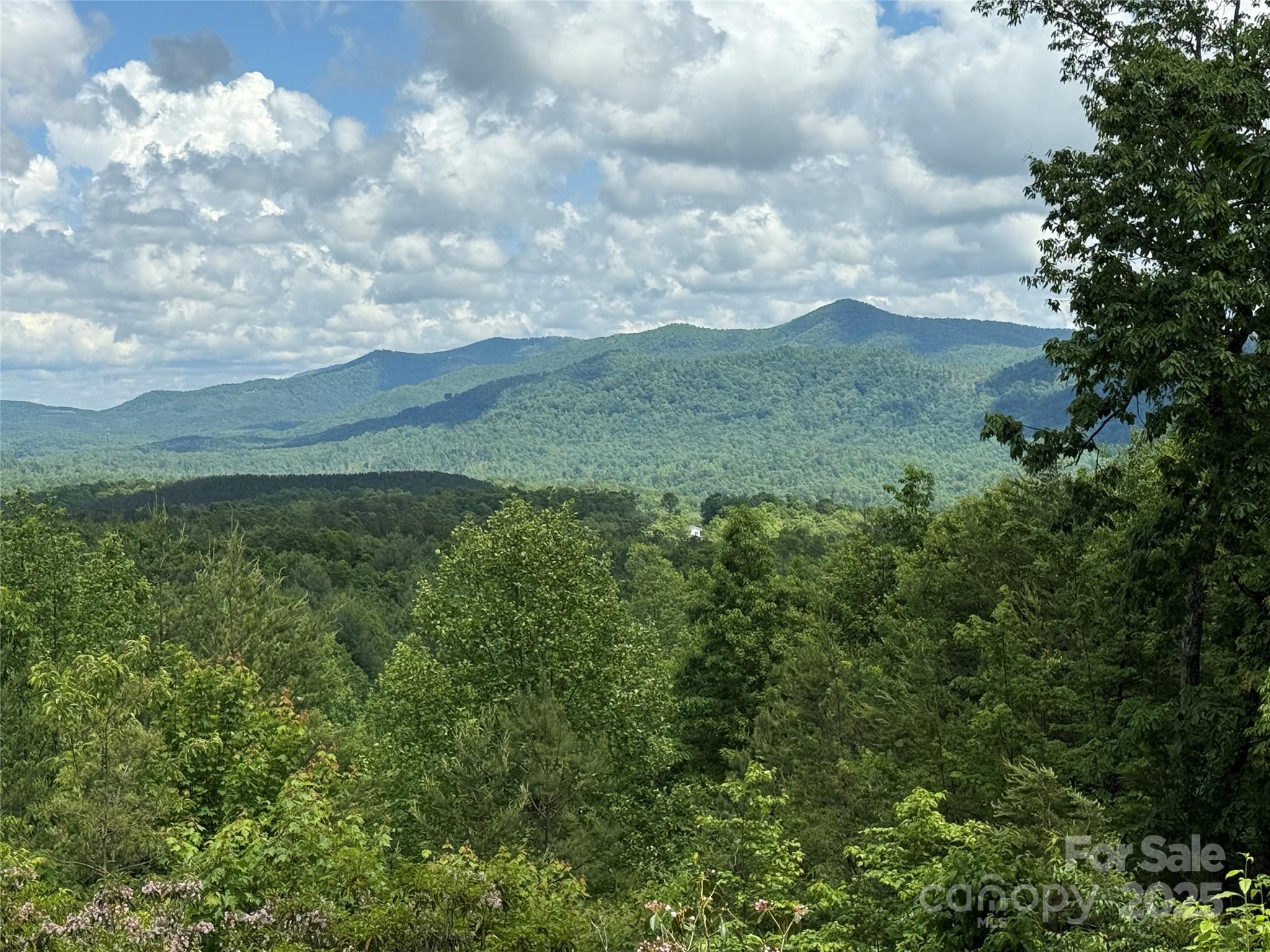 113 Valley View Trail 323