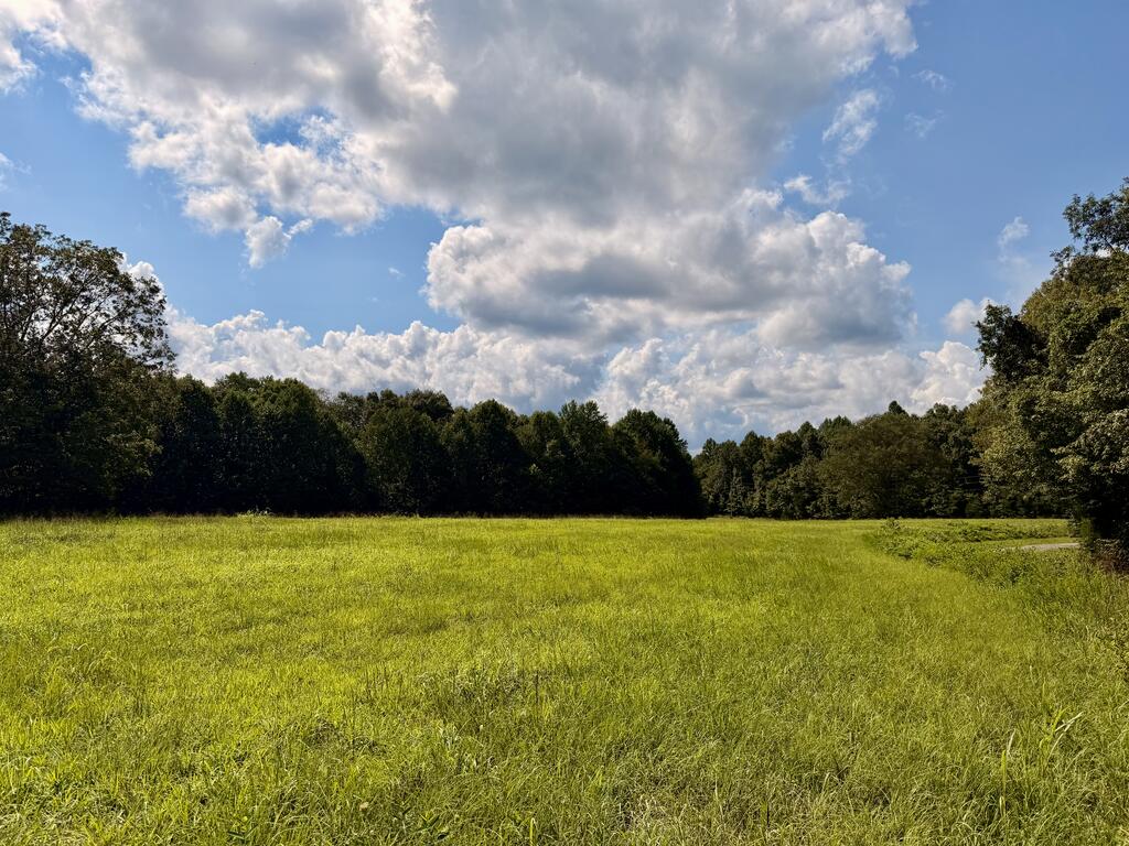 220+/-AC Hensley Cemetery Ln