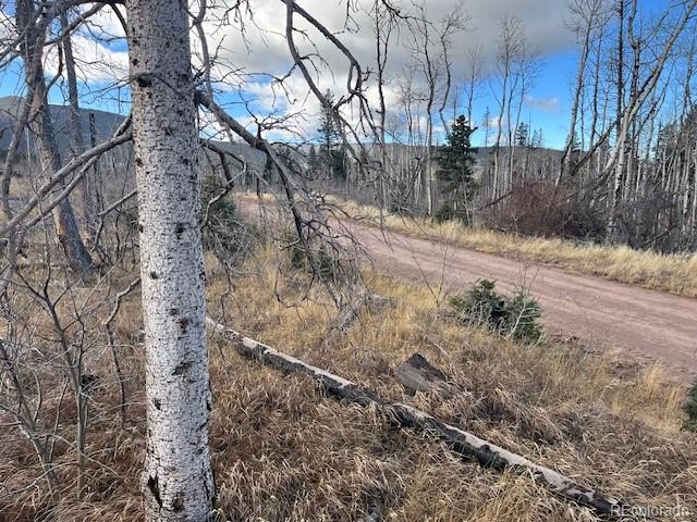 Lot 2544 Petito Drive