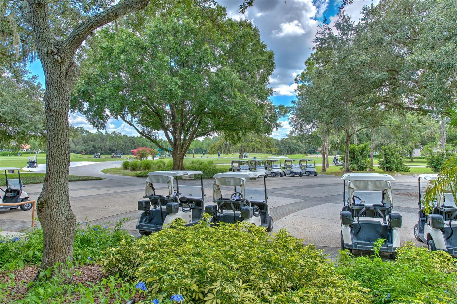 3125 Bent Creek Dr